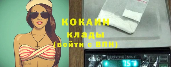 spice Алексин