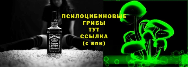 spice Алексин