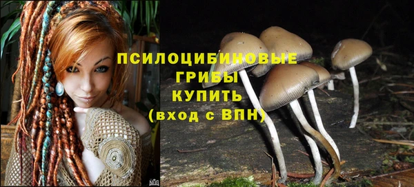 a pvp Медвежьегорск