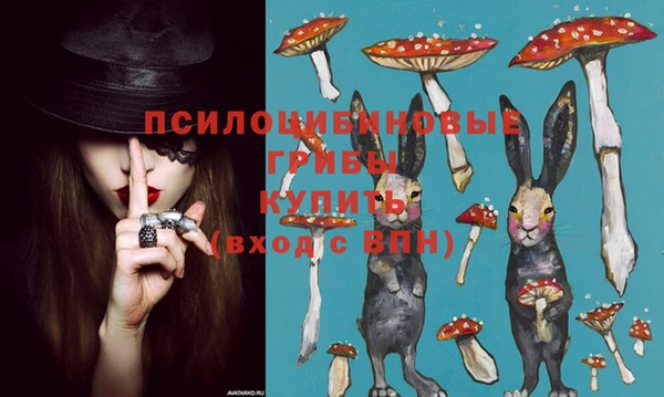 spice Алексин