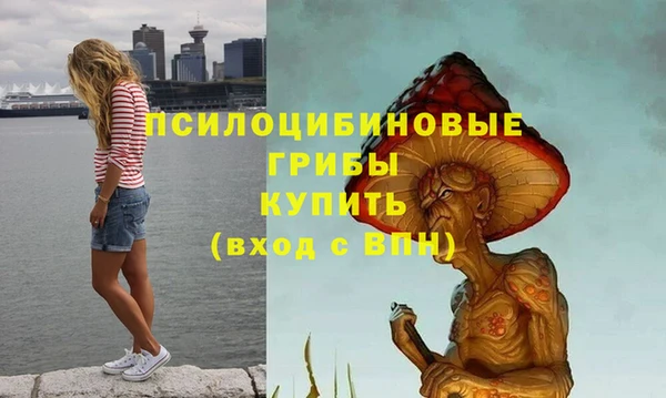 соль курить ск Алзамай