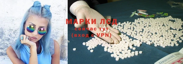 сатива Абаза