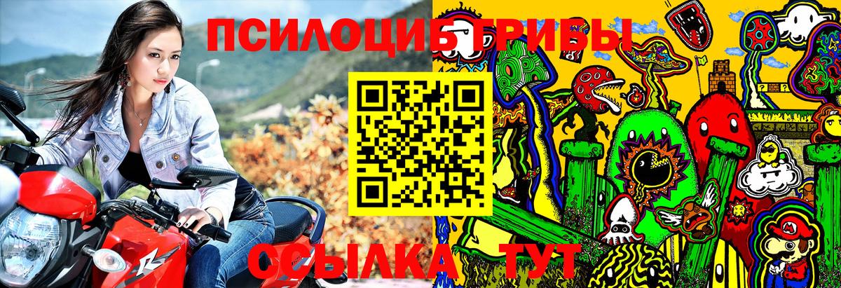 Псилоцибиновые грибы Magic Shrooms Кострома